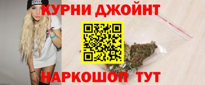 jwh Кингисепп