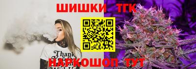 jwh Кингисепп