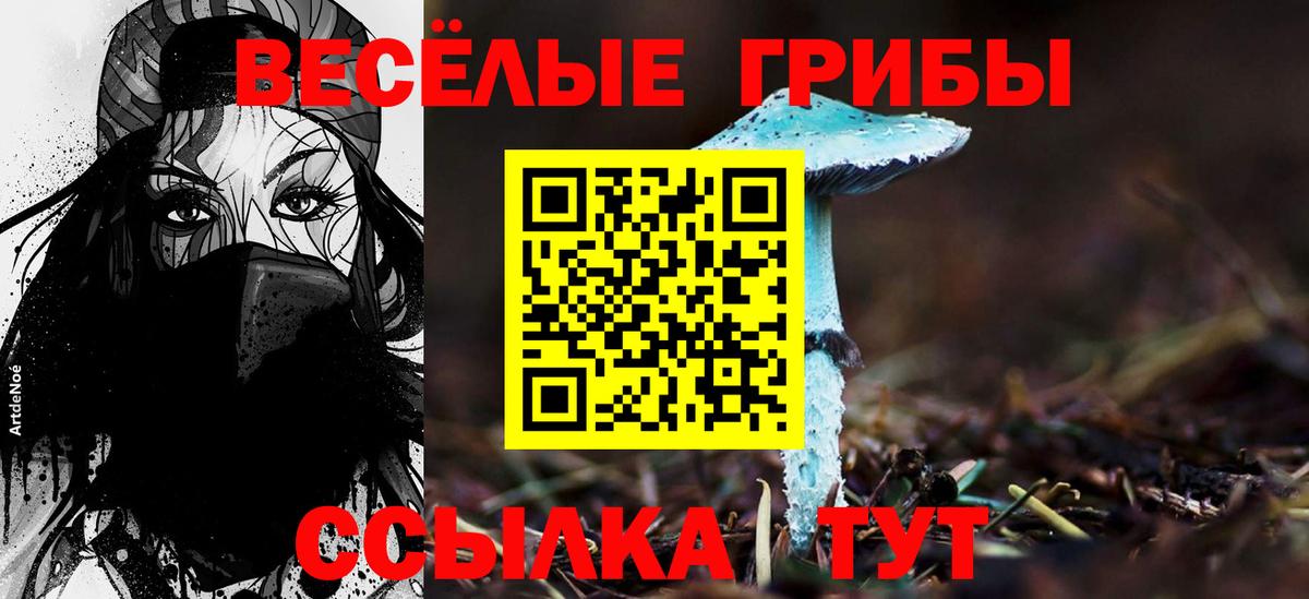 Галлюциногенные грибы Magic Shrooms  Вход с VPN  Тимашёвск 