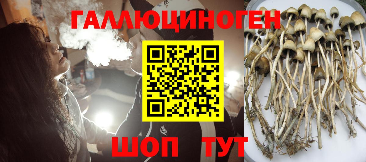 Псилоцибиновые грибы ЛСД Тимашёвск