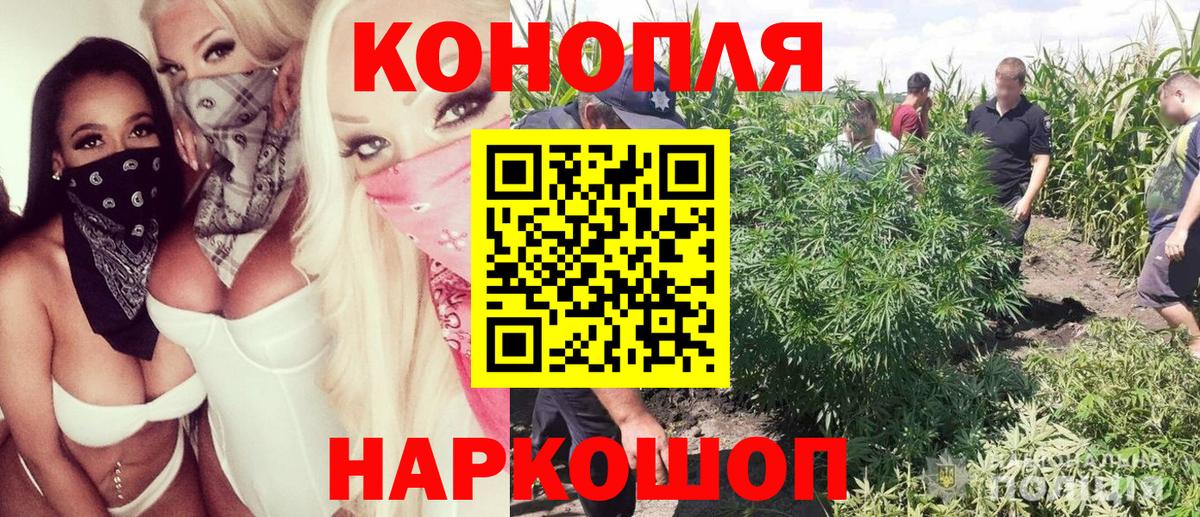 Каннабис ГИДРОПОН Тимашёвск